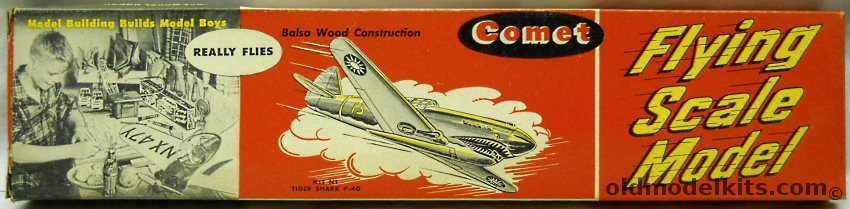 Comet P-40 Tiger Shark - 18 Inch Wingspan - Coke Bottle Issue, N1-29 plastic model kit